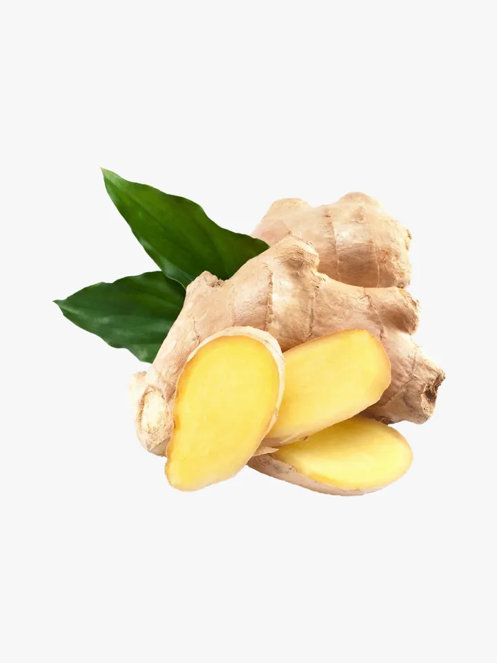 زنجبیل تازه معطر